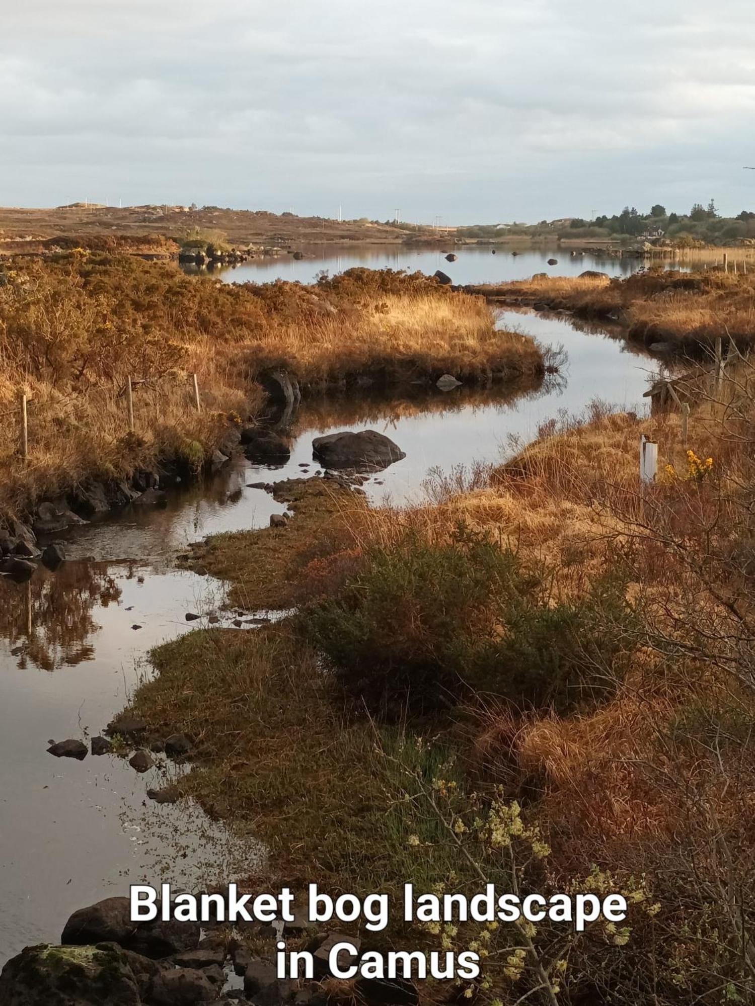 Connemara Lake View Apartment Camus Eighter المظهر الخارجي الصورة