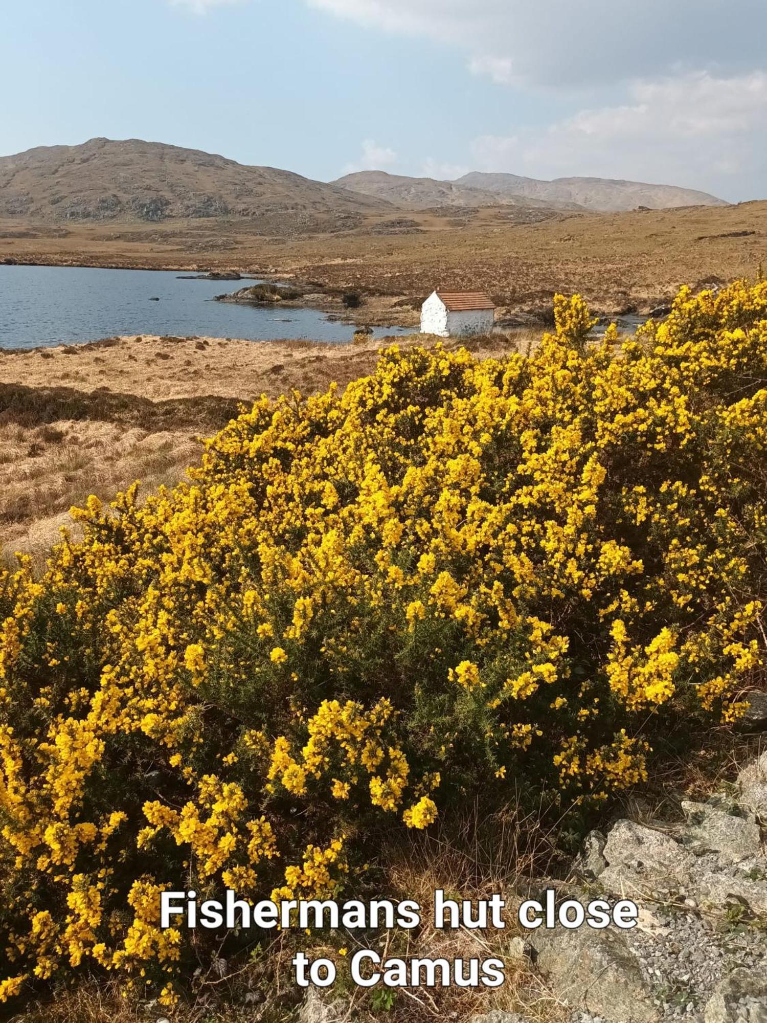 Connemara Lake View Apartment Camus Eighter المظهر الخارجي الصورة